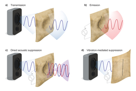 Four images labeled A-D show a vibrating fabric: A is labeled “Transmission” and shows a blue sound wave passing through a fabric.  B is labeled “Emission” and shows a red sound wave emanating from the fabric. C is labeled “Direct acoustic suppression” and the red and blue waves look mirrored. D is labeled “Vibration-mediated suppression” and shows no noise passing through the fabric.